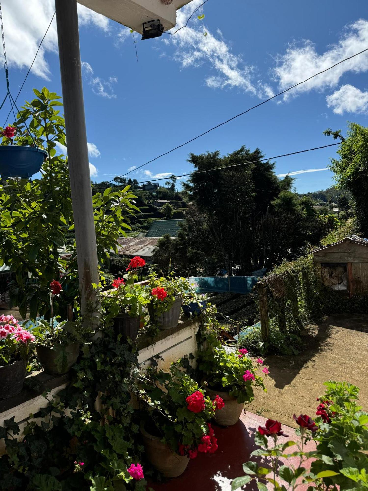 Apartamento Cozy Heaven Nuwara Eliya Exterior foto